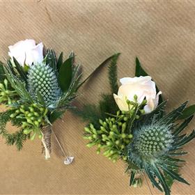 fwthumbThistle rose and ivy.jpg